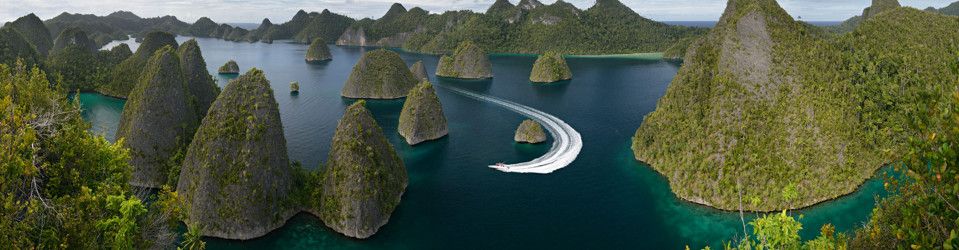 Government Relations