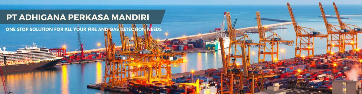 Channel Partner Development Executive