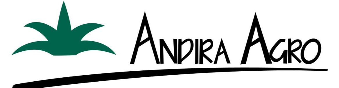 SENIOR STAFF FINANCE