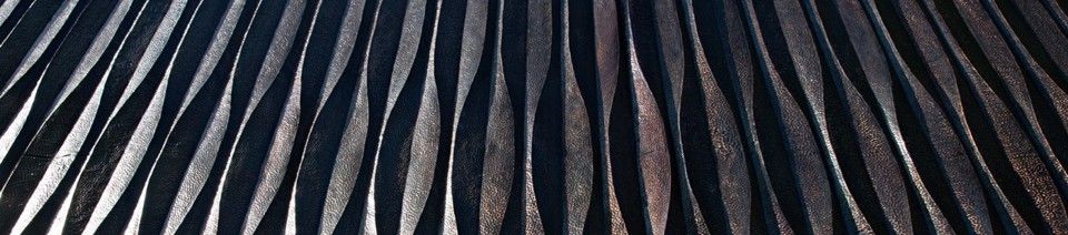 Interior Designer ( 3D Rendering & Cad DRAFTER )