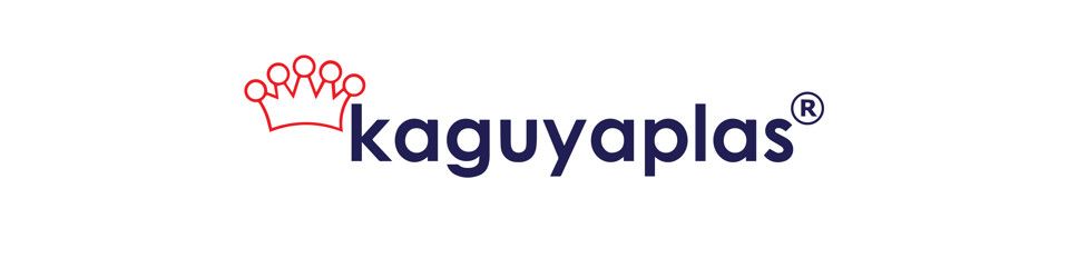 SALES E-COMMERCE (TOYS & MINIFAN)