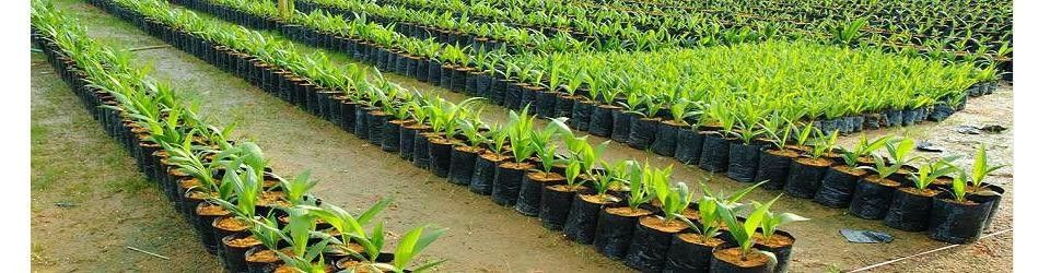 Purchasing Administrasi