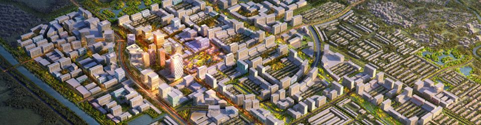 Internal Audit Staff