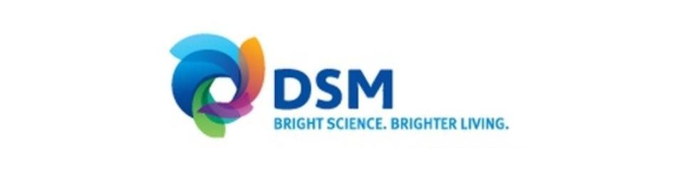 Senior Technician, Creation, P&B