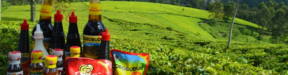 HR RECRUITMENT & TRAINING STAFF