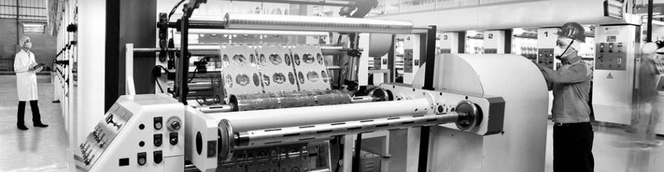 Staff Account Payable