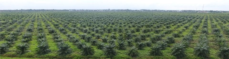 Golden Land Gemilang