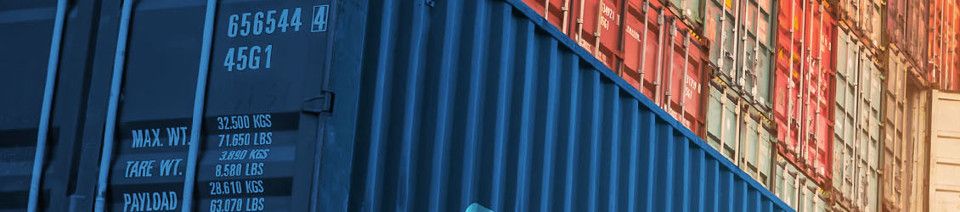 Transport Supervisor