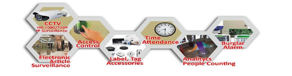 Business Development Executive