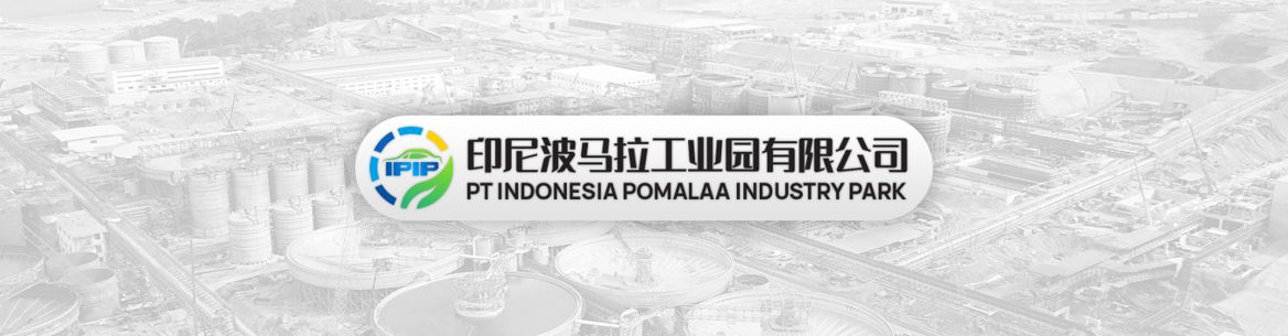 Operator Reach Stacker