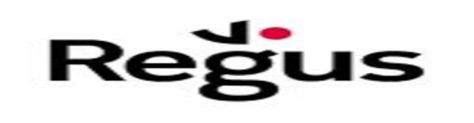 Customer Service Executive