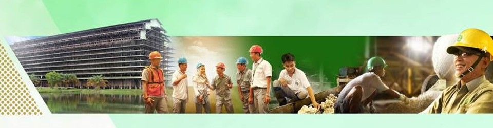 Human Capital Information System Officer (HCIS Officer)