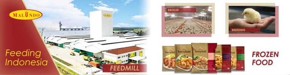 Cashier Staff (Finance)