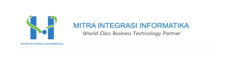 Application Consultant Analyst