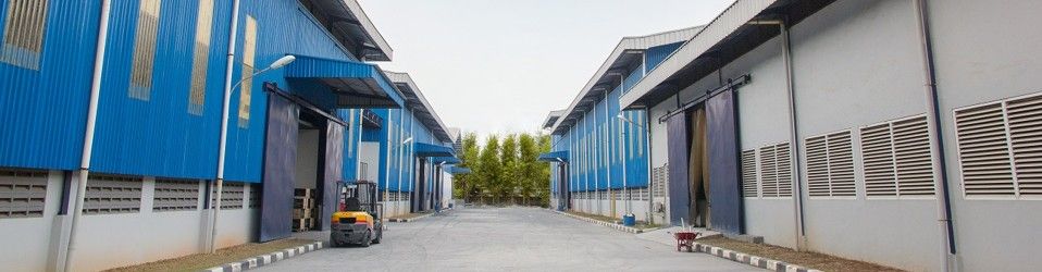 Head of Administration & Warehouse