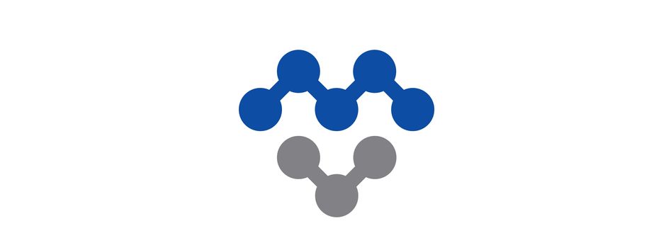 Project Engineer - Network Engineer