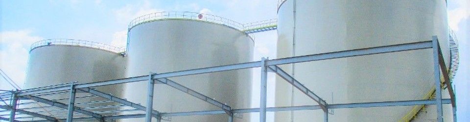 PROJECT CONTROL MANAGEMENT