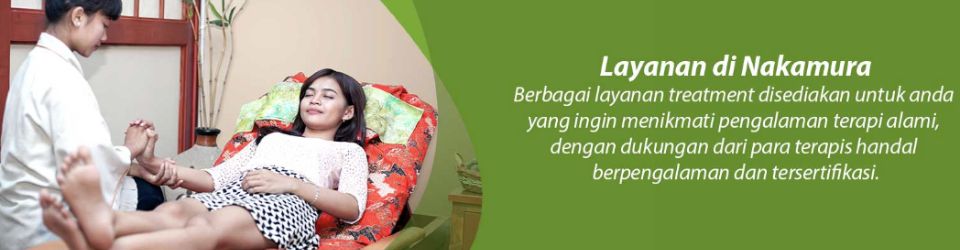 Terapis Kesehatan