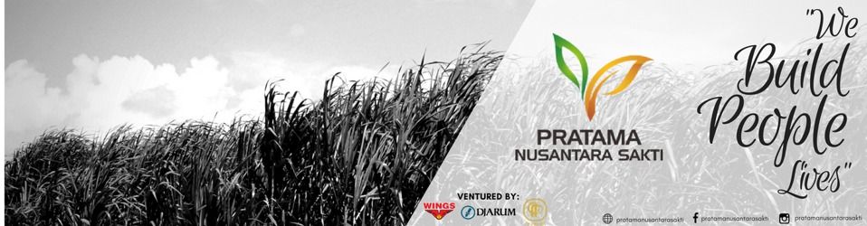 Management Trainee (MT)