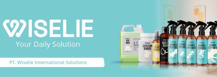 PT. Wiselie International Solutions