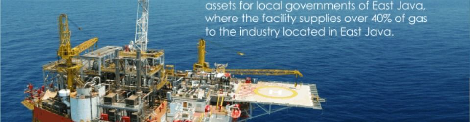 Admin & Project Support