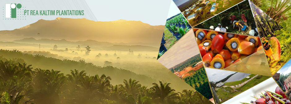 Community Development & Smallholder Officer