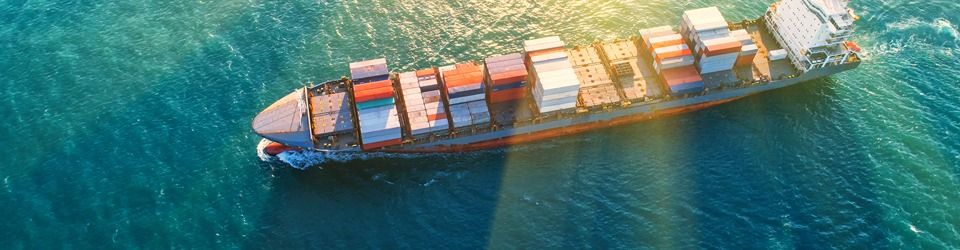 Sales/Senior Sales Freight Forwarding