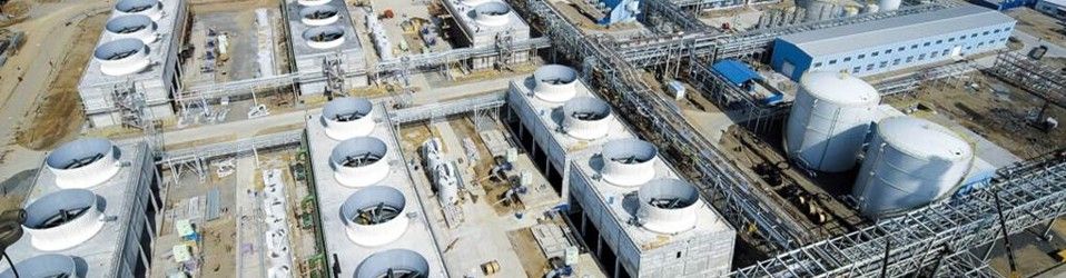 Project Management Staff