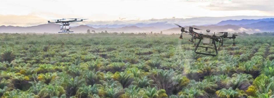 Business Development (Agri Industry)