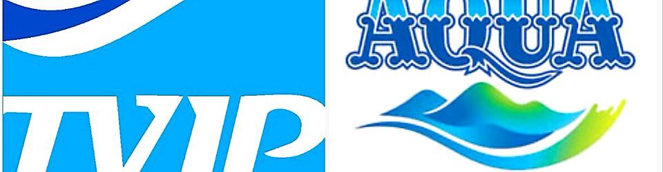 Logistic & Distribution Head