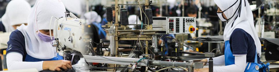 Quality Management System Staff