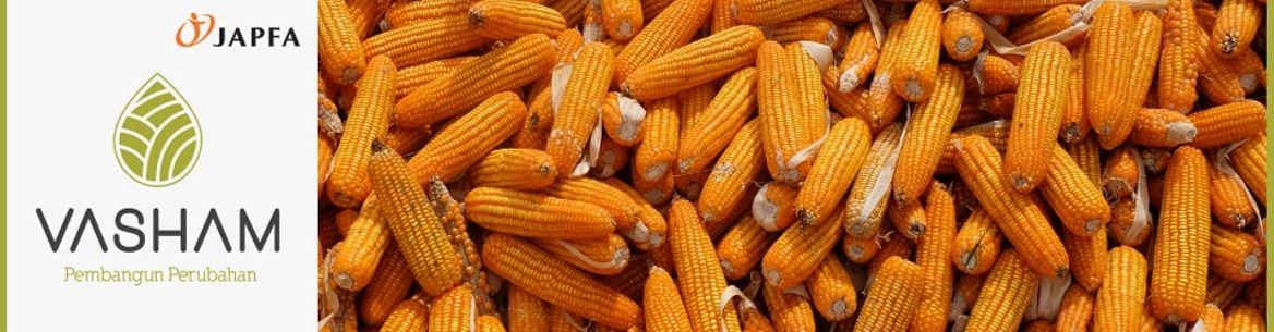 Warehouse Administrator