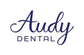 PT Audy Mandiri Indonesia