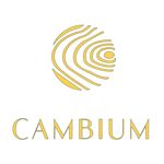 PT Cambium Furni Industry