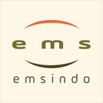 PT EMS Indoappliances