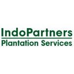 PT Indo Partners Plantation Services