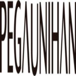 PT. Pegaunihan Technology Indonesia